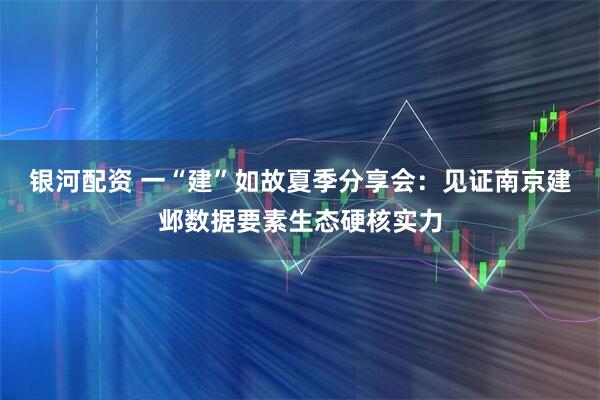 银河配资 一“建”如故夏季分享会：见证南京建邺数据要素生态硬核实力